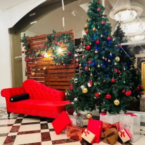 Yılbaşı Çam Ağacı Kiralama